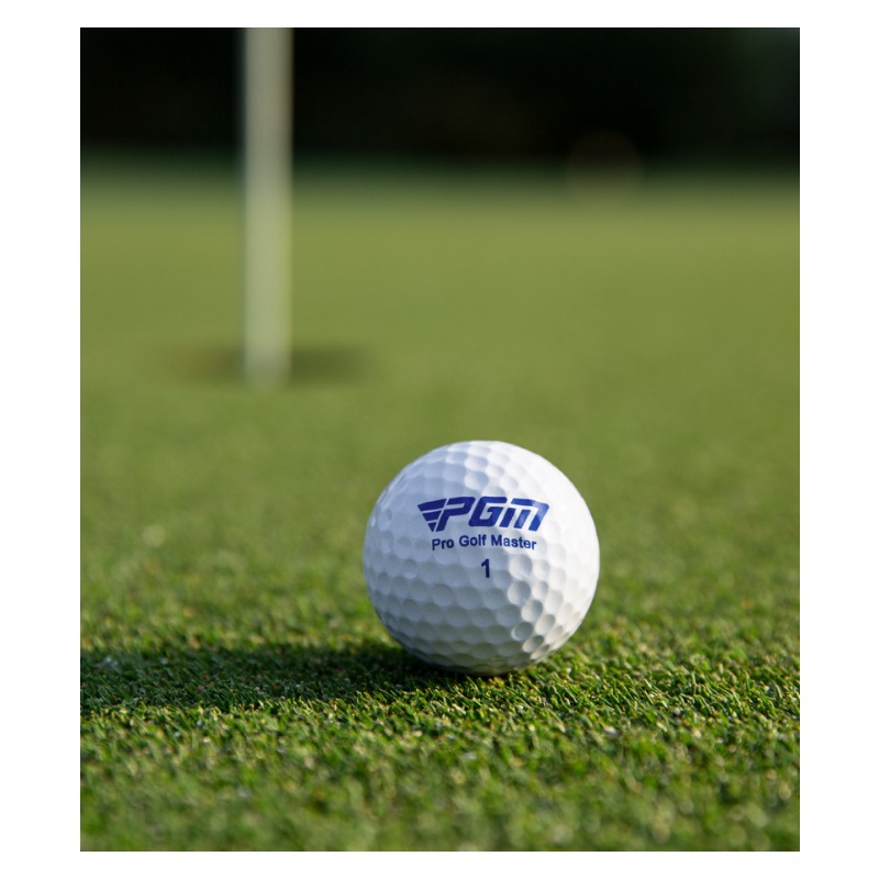 Golf Ball Golf Game Ball Doubl – обзор и цена Golf Exercise Equipment